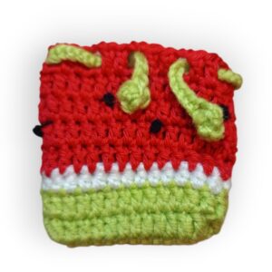 Earbuds Case