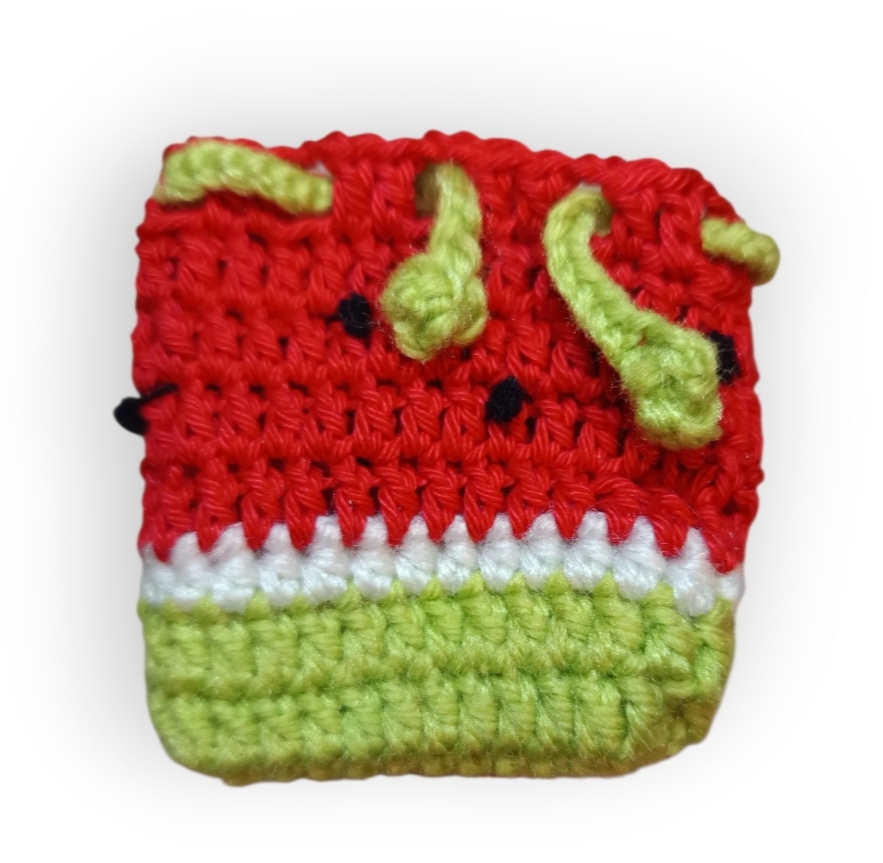 Earbuds Case