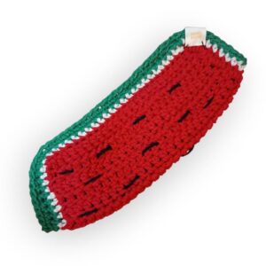Glasses Case