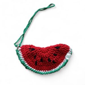 Watermelon Sunglasses Holder