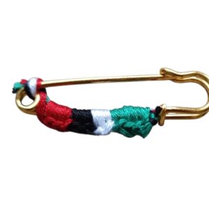 Palestine Pin 2