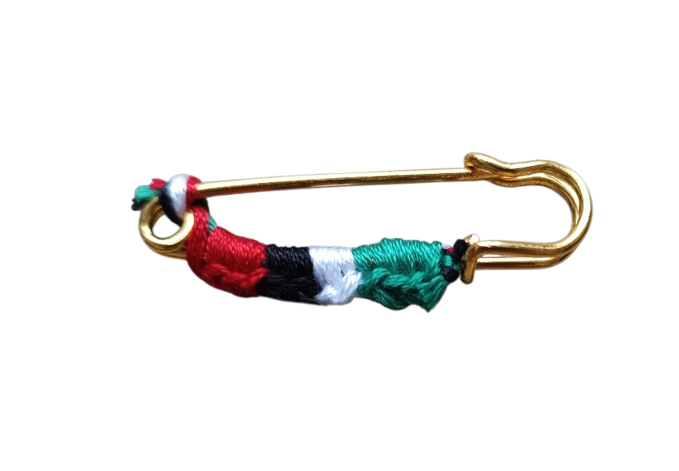 Palestine Pin 2